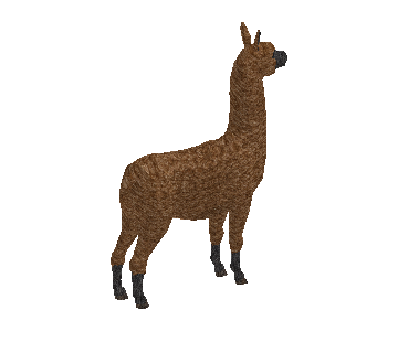 Alpaca
