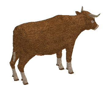Vaca
