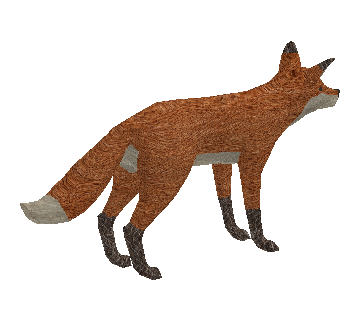Raposa
