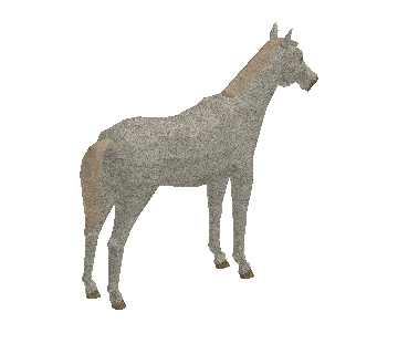 Cavalo Branco