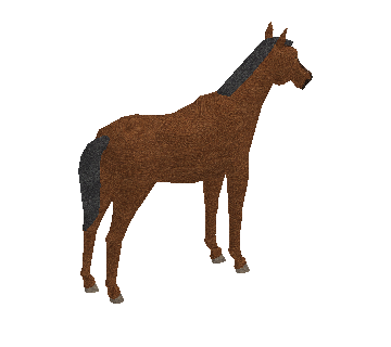Cavalo