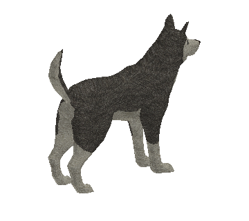 Husky