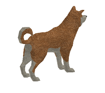 Shiba Inu