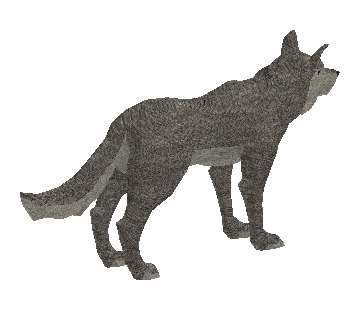 Lobo